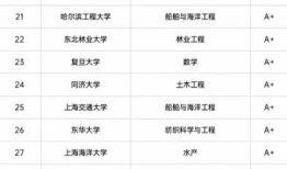 第五轮学科评估最新爆料,揭秘各学科排名与高校实力新格局”